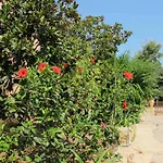 Apartman Spadola Marina di Ragusa
